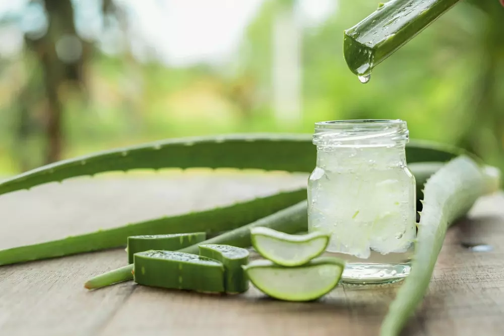 Beneficios de la Sábila