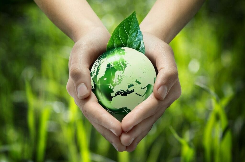 La importancia de utilizar productos amigables con el Medio Ambiente